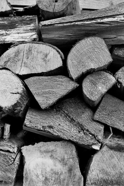 Strukturen, Holz, sw